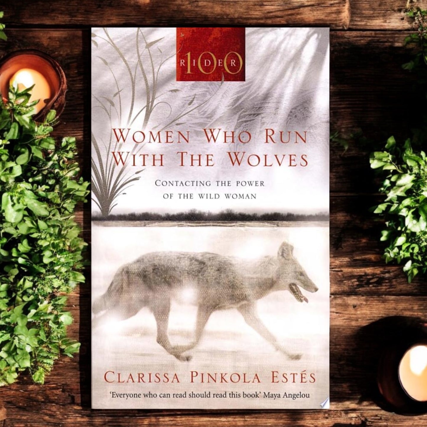 BOOKS || WOMEN WHO RUN WITH THE WOLVES