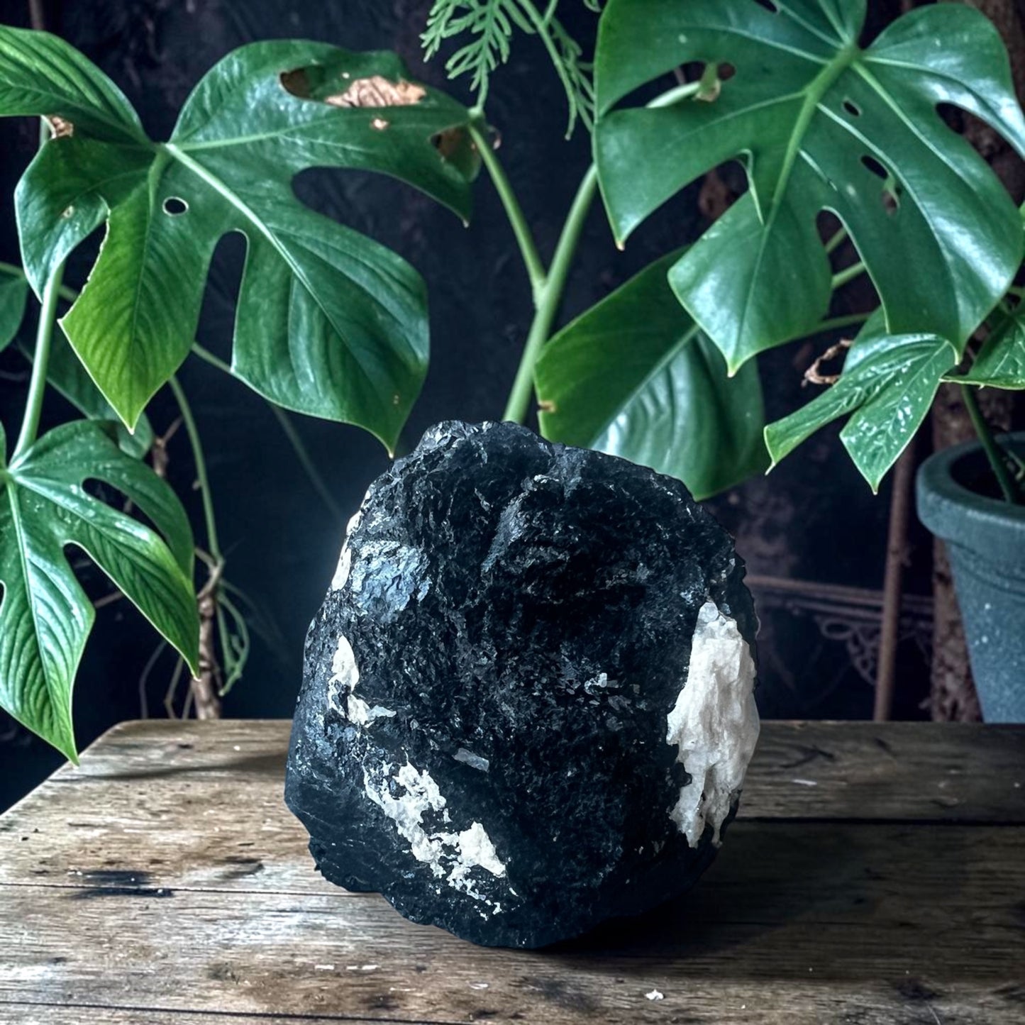 ROUGH STONES || BLACK TOURMALINE WITH QUARTZ - XL
