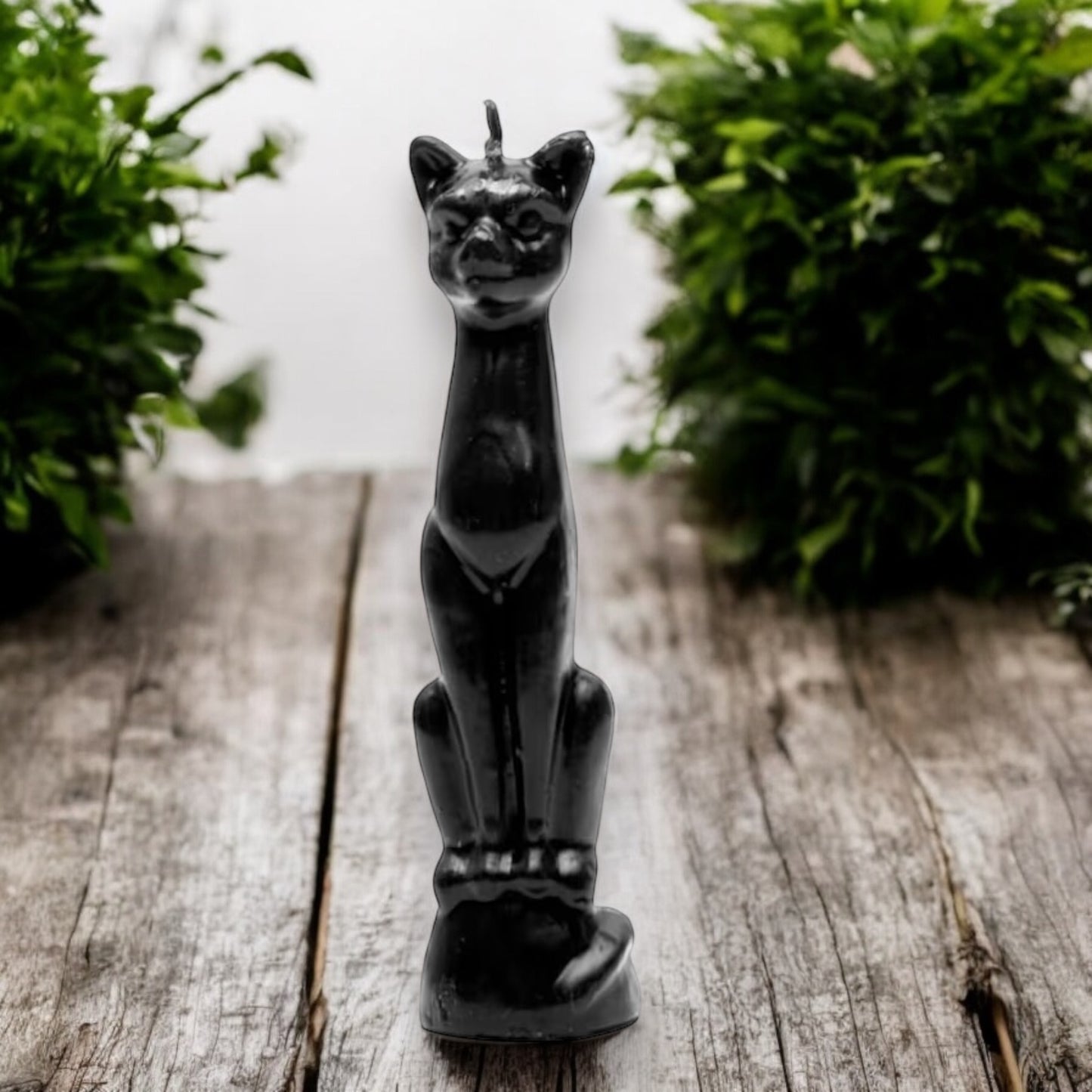 CANDLES || BLACK CAT WISH / SPELL