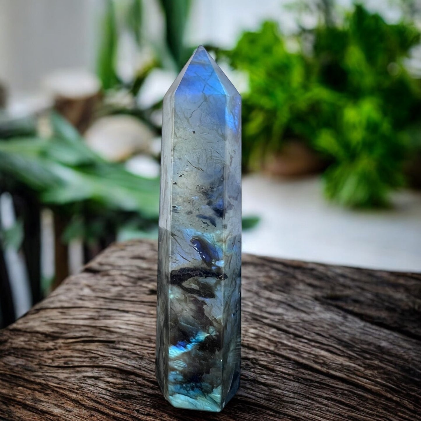 GENERATOR || LABRADORITE