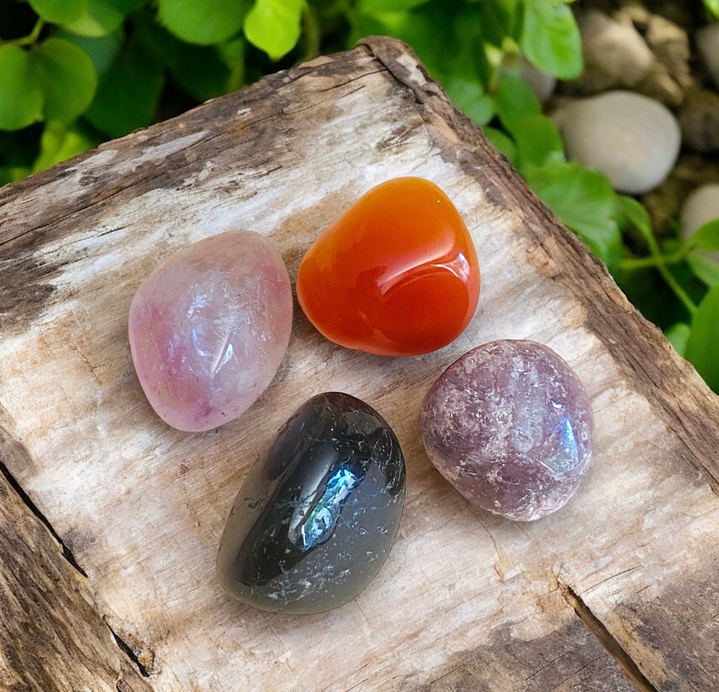 CRYSTAL KIT || ZODIAC - PISCES
