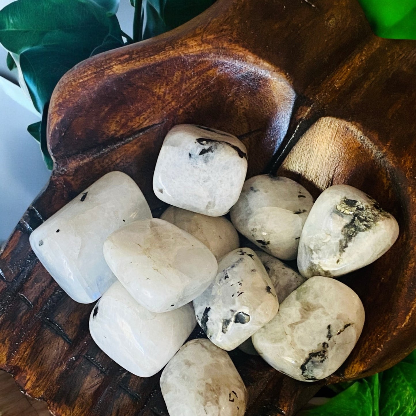 TUMBLE STONES || RAINBOW MOONSTONE