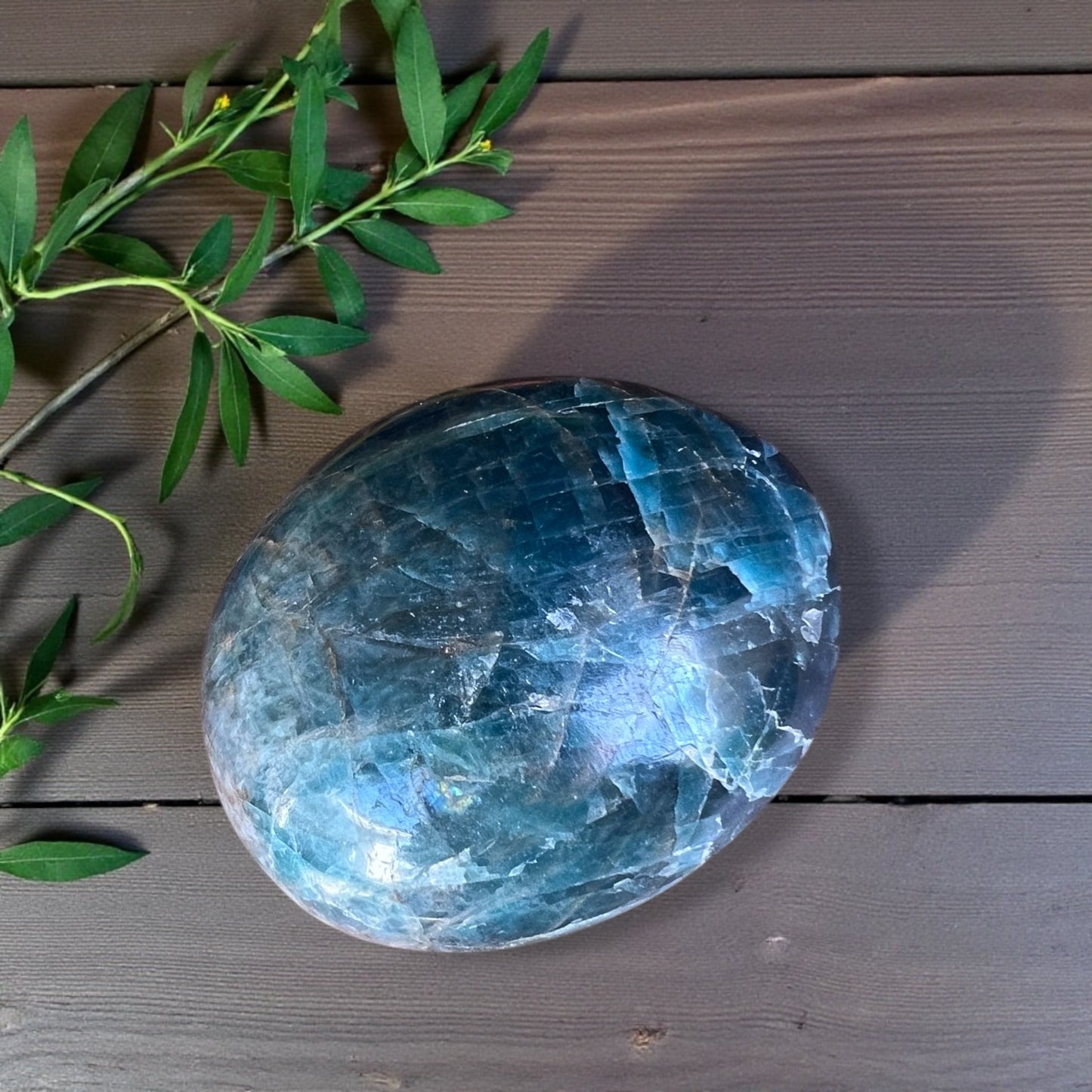 PALM STONE || APATITE