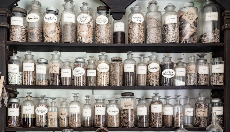 THE ALCHEMIST’S APOTHECARY
