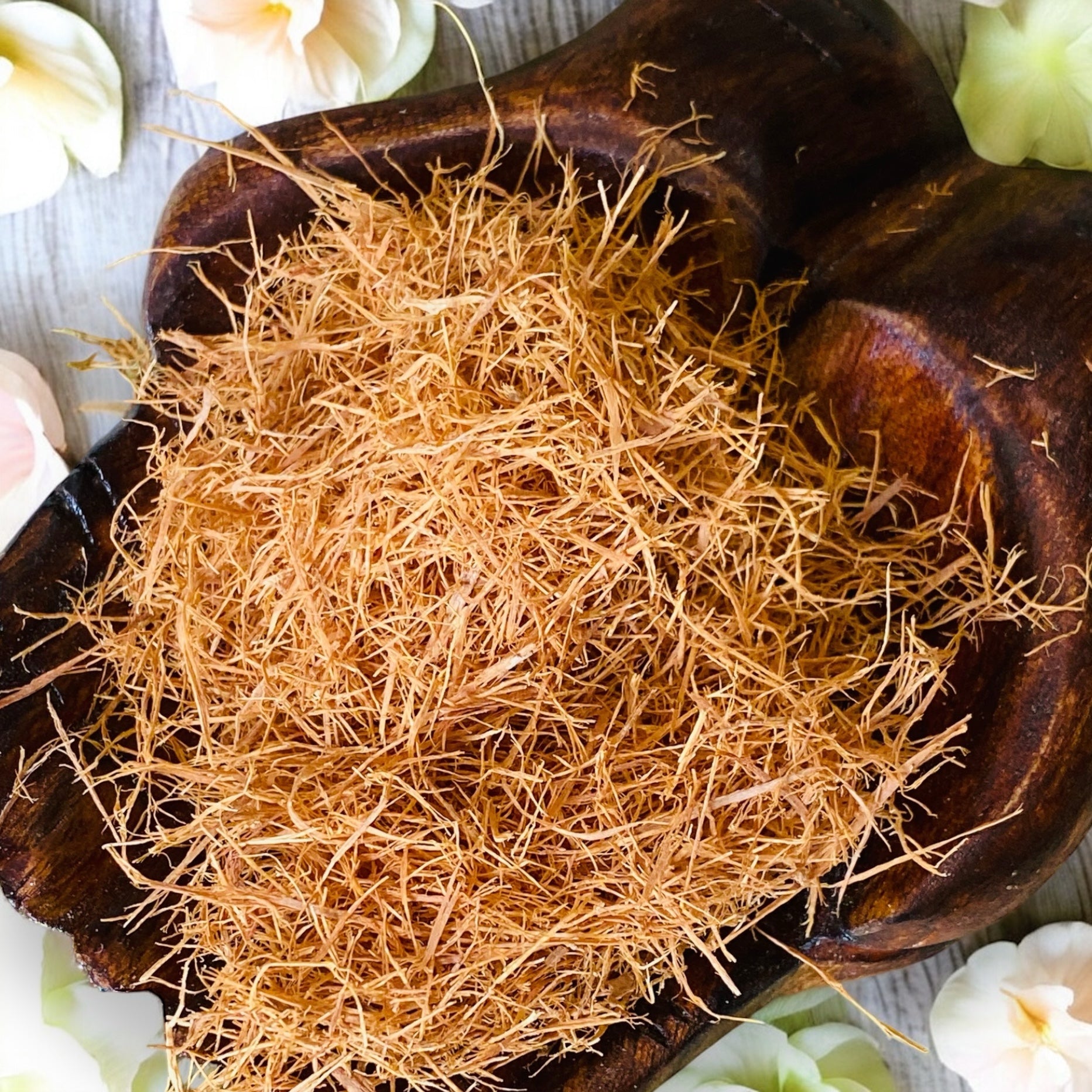 HERBS || CATS CLAW BARK