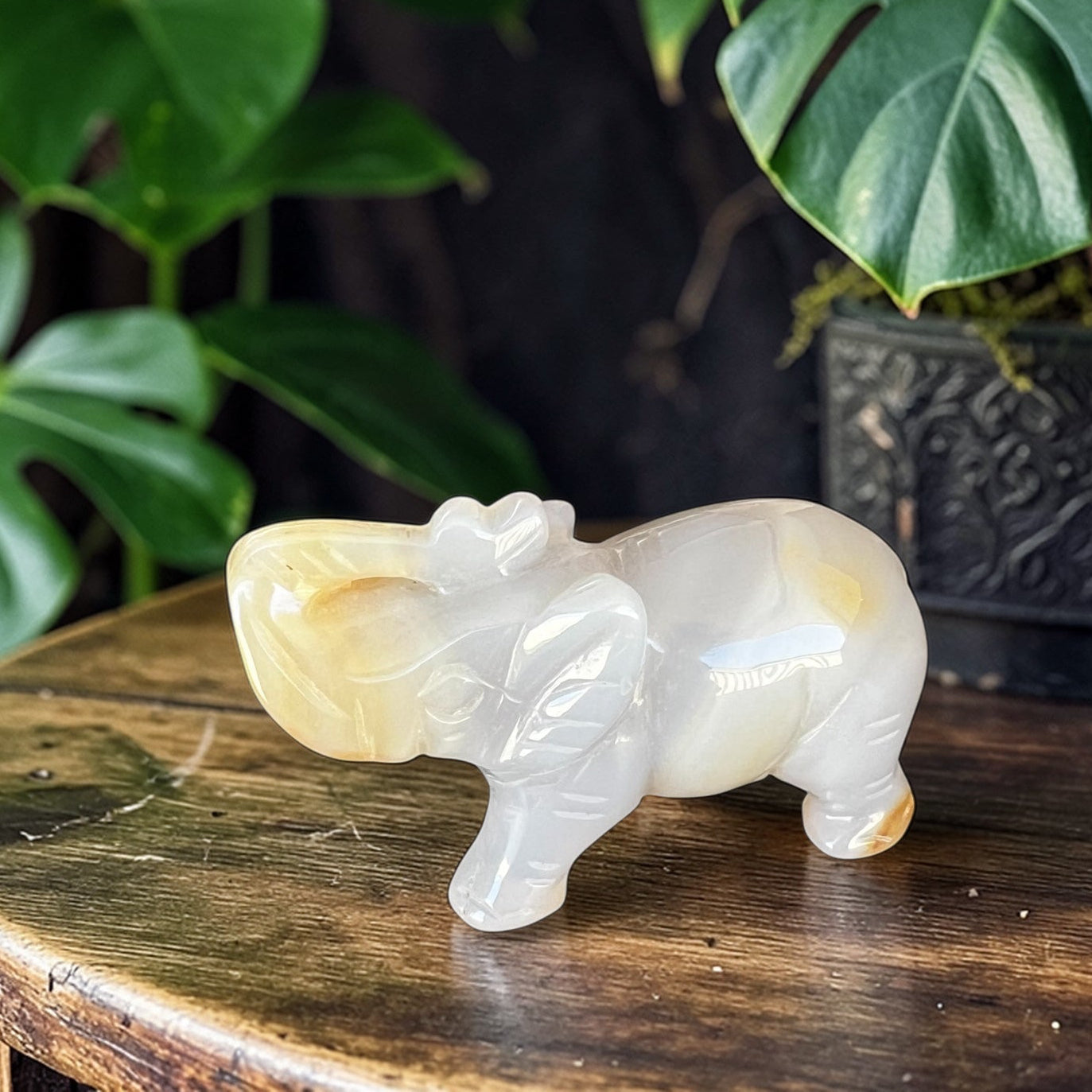 CARVINGS || AGATE ELEPHANT