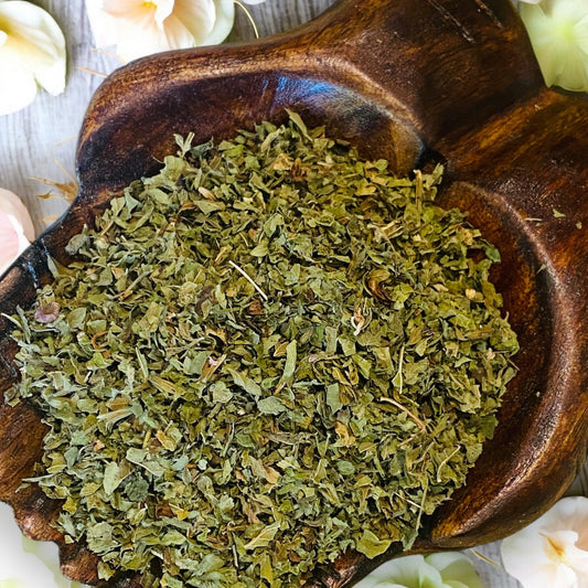 HERBS || NETTLE