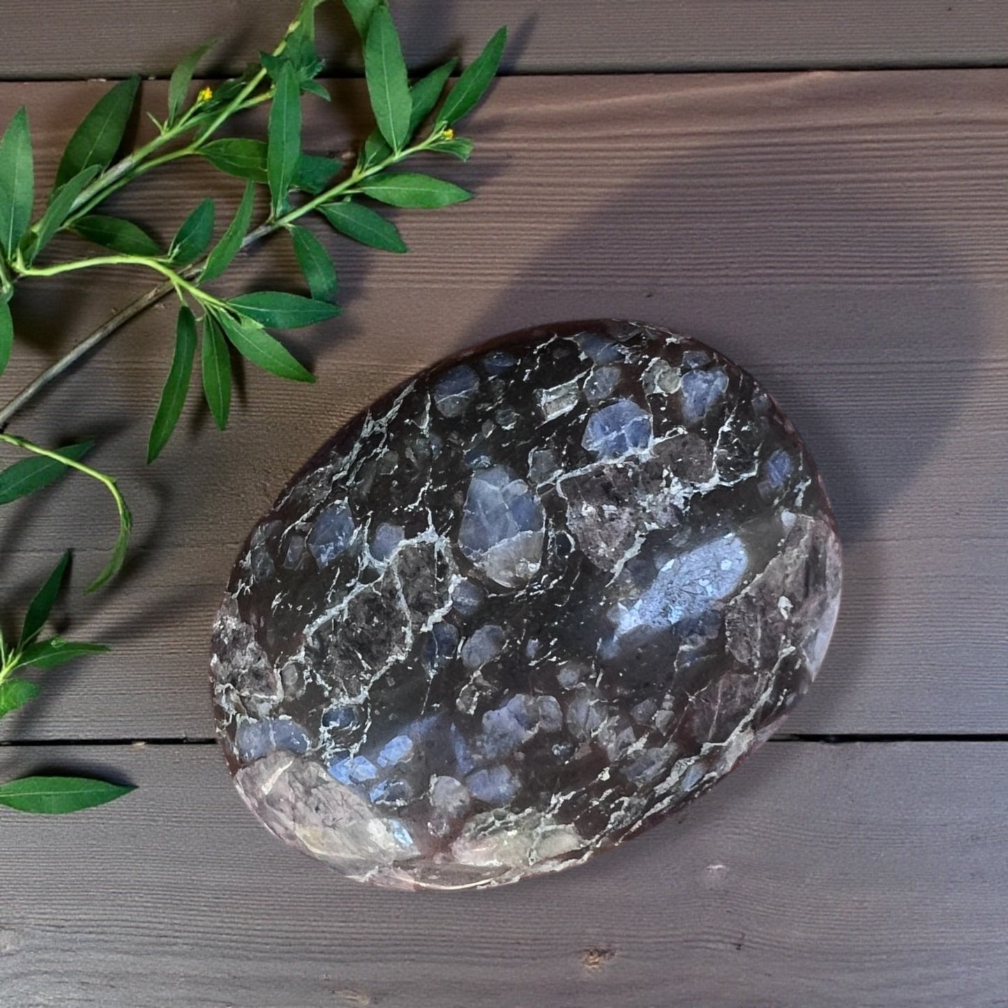 PALMSTONE || QUE SERA