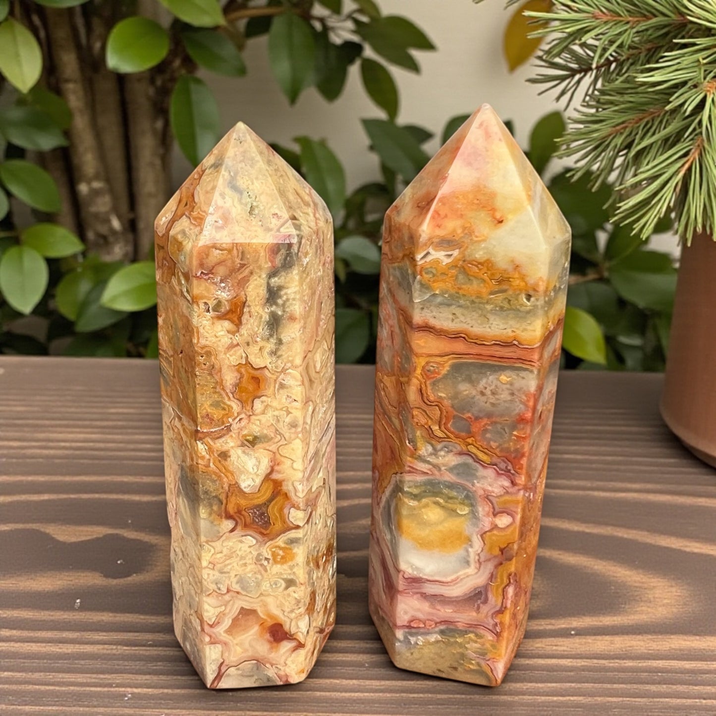 GENERATORS  || CRAZY LACE AGATE