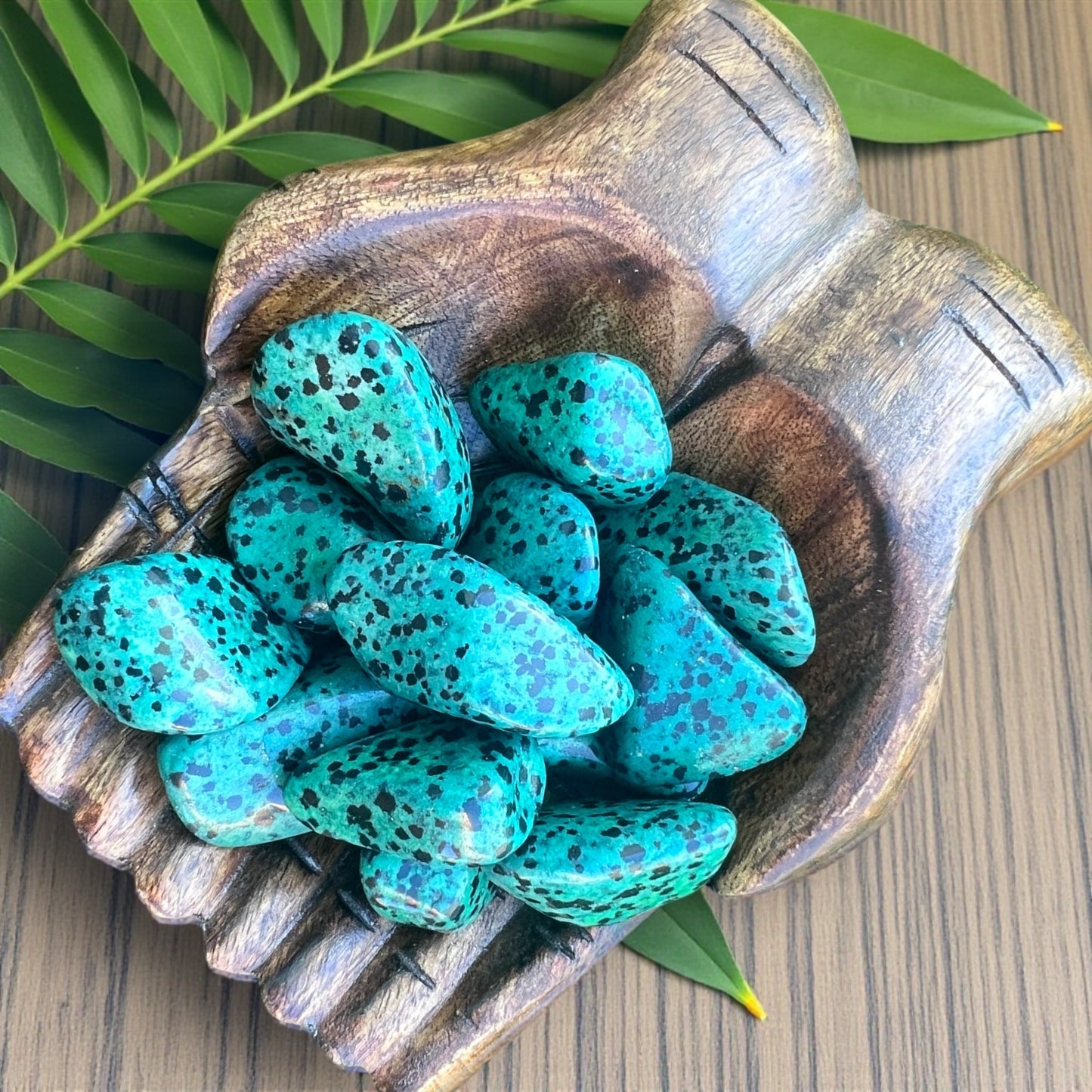 TUMBLE STONES || GREEN DALMATION JASPER