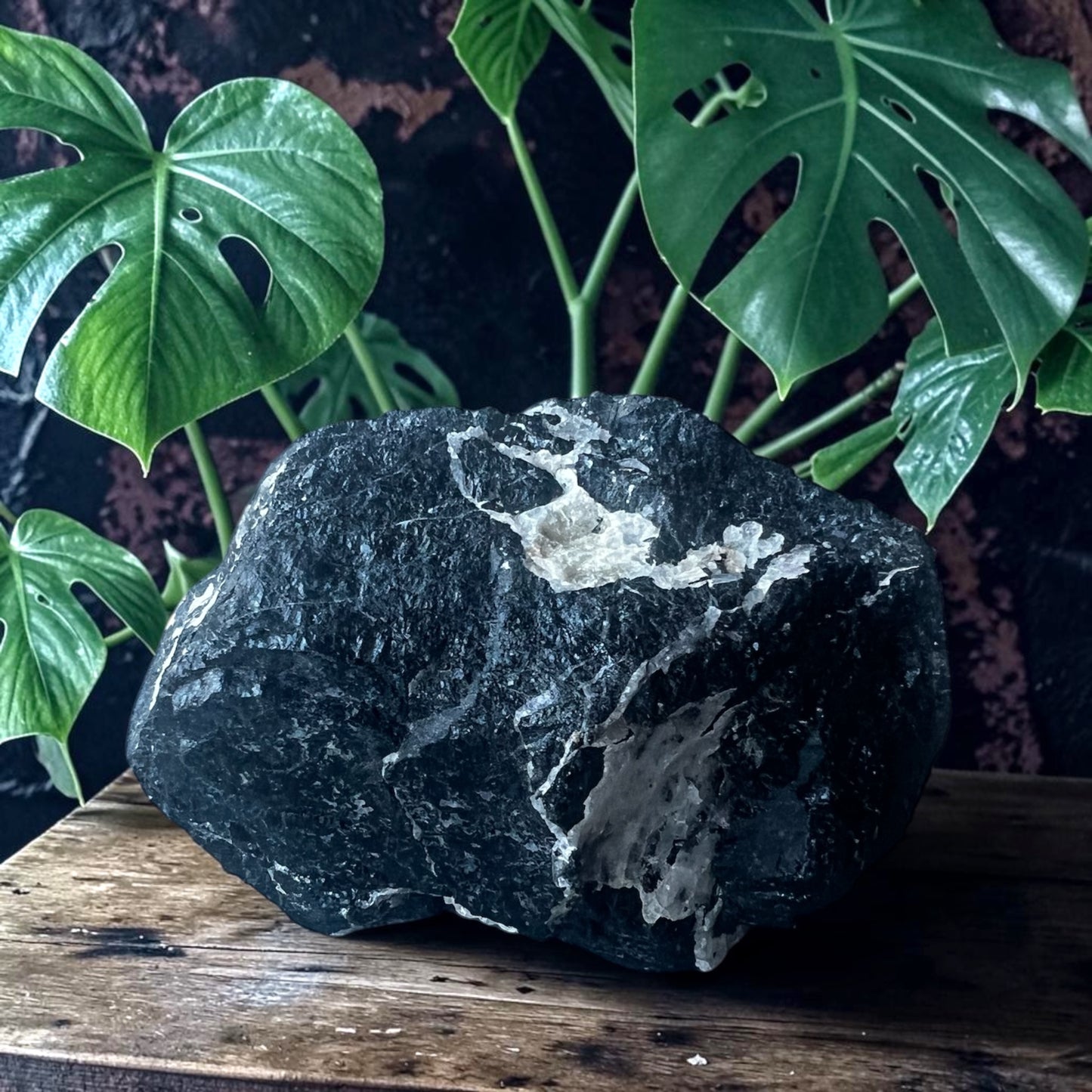 ROUGH STONES || BLACK TOURMALINE WITH QUARTZ - XL