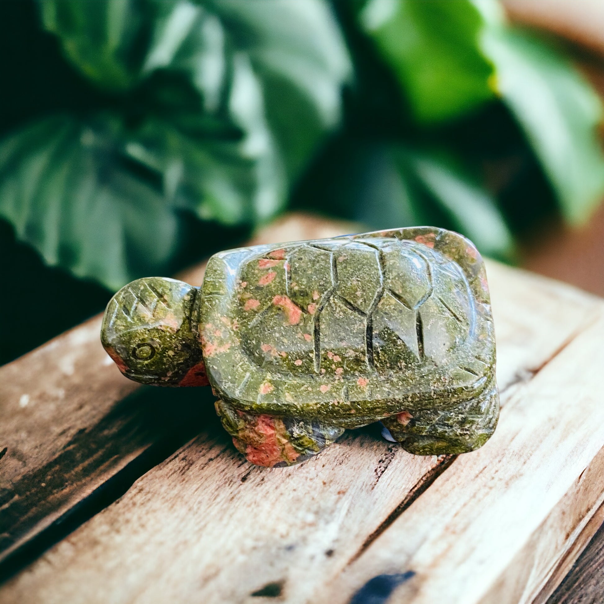 CARVINGS || UNAKITE TORTOISE