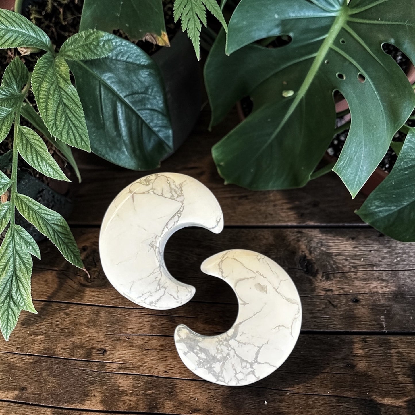CARVING || HOWLITE CRESCENT MOON