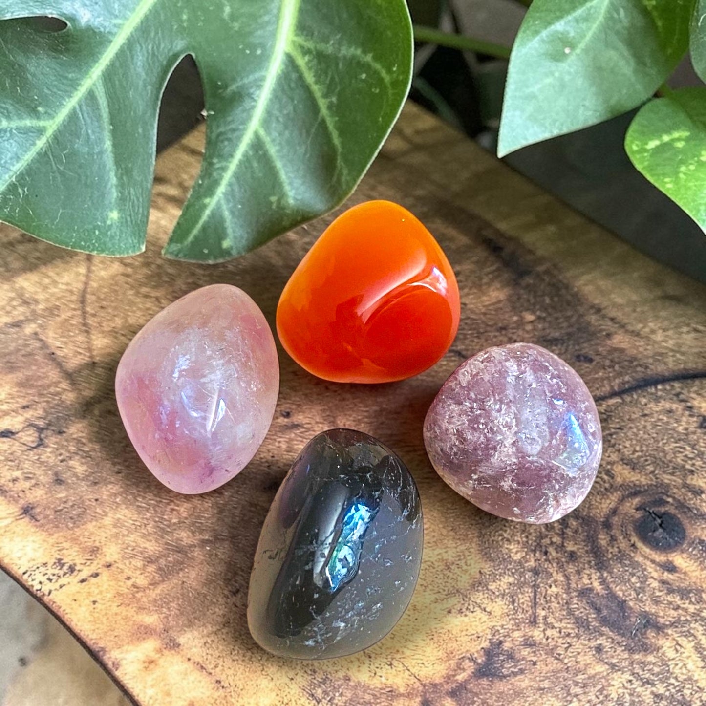 CRYSTAL KIT || ZODIAC - PISCES