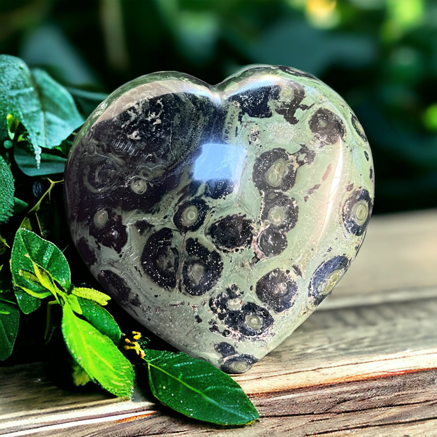 HEARTS || KAMBABA JASPER