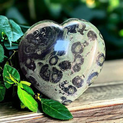HEARTS || KAMBABA JASPER