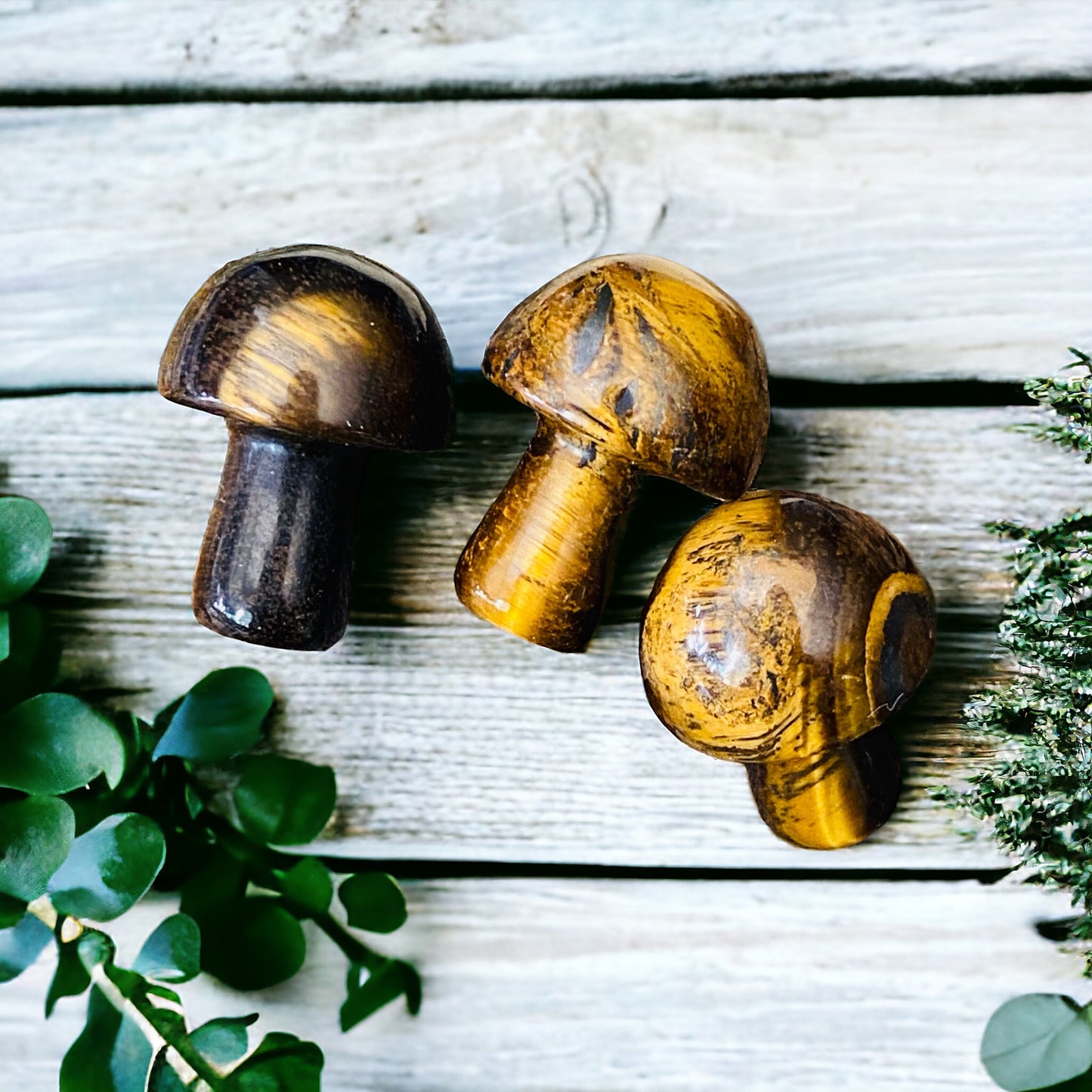 CARVINGS || TIGER EYE MINI MUSHROOM