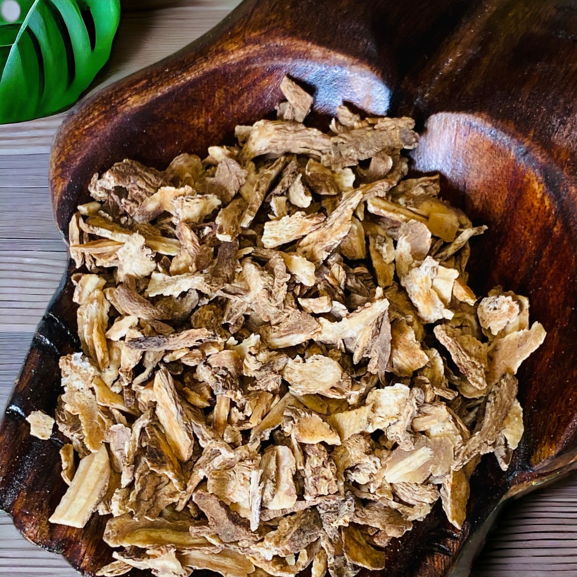 HERBS || ANGELICA ROOT