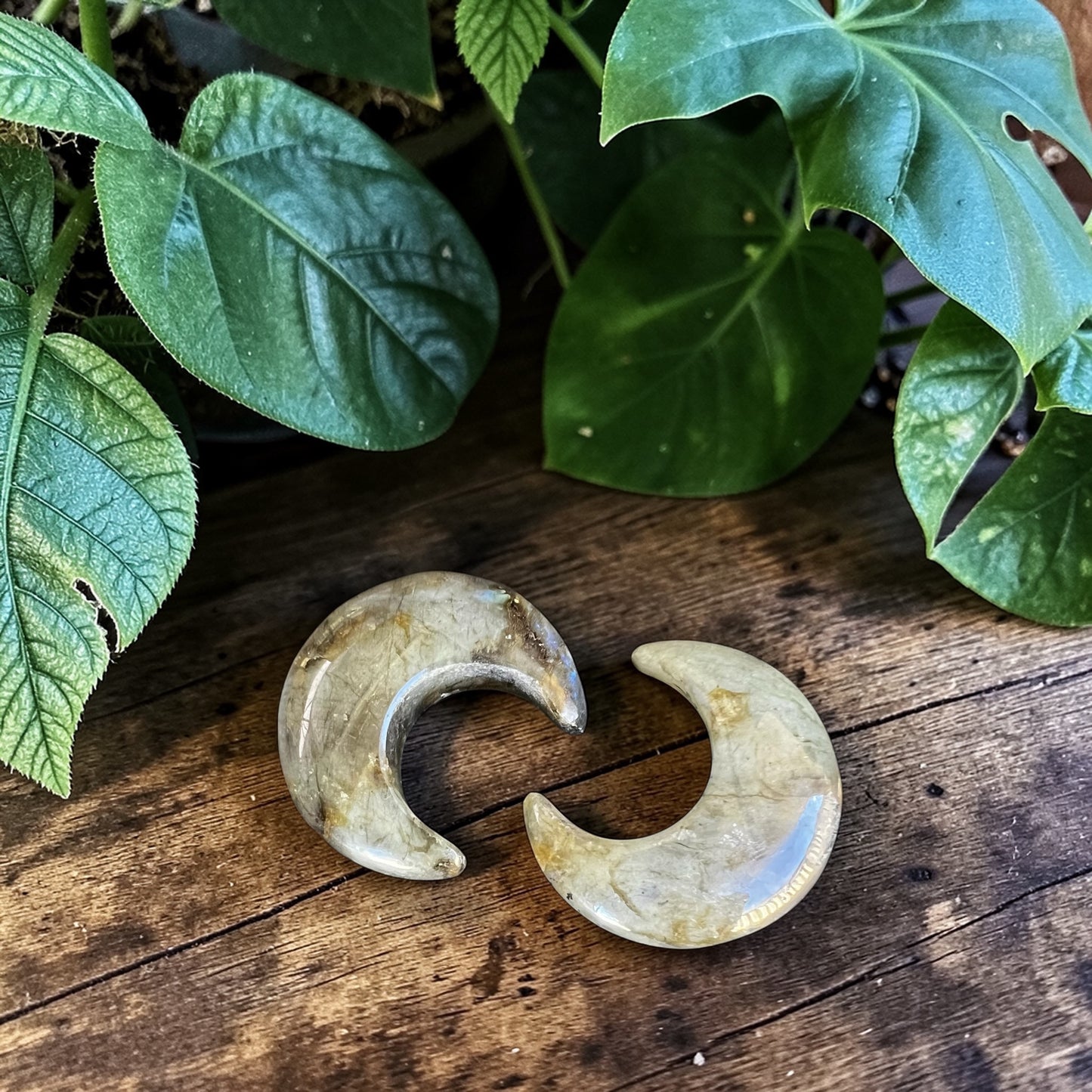 CARVINGS || LABRADORITE CRESCENT MOON