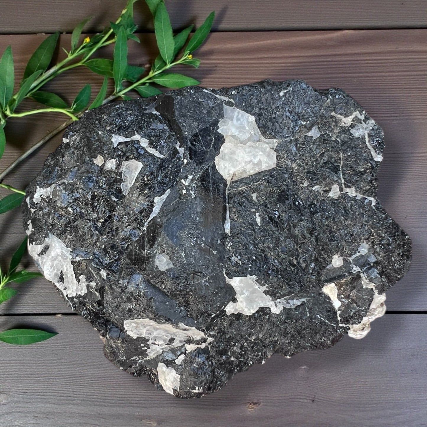 ROUGH STONES || BLACK TOURMALINE WITH QUARTZ - XL