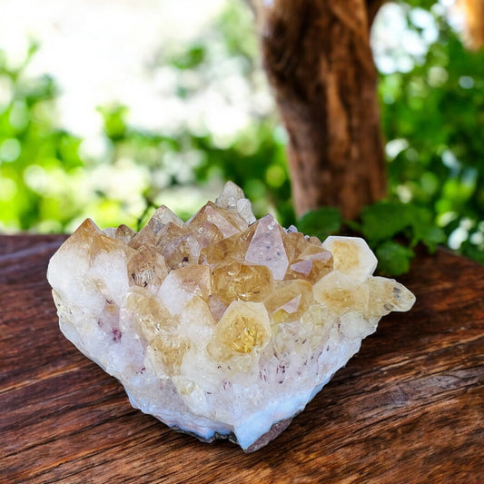 CLUSTERS || CITRINE