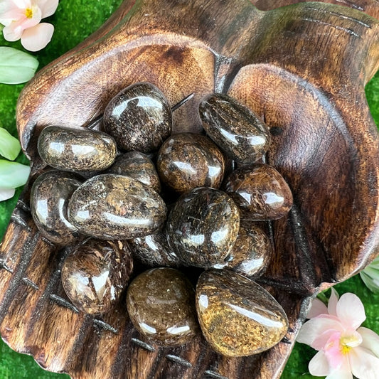 TUMBLE STONES || BRONZITE