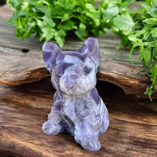 CARVINGS || CHEVRON AMETHYST QUARTZ DOG