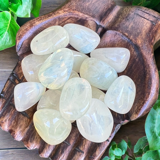 TUMBLE STONES || YELLOW OBSIDIAN