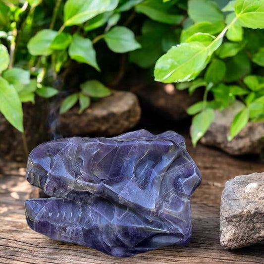 CARVINGS || AMETHYST DINOSAUR SKULL