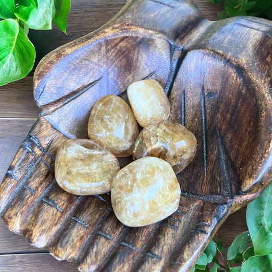 TUMBLE STONES || HONEY CALCITE