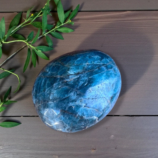PALM STONE || APATITE