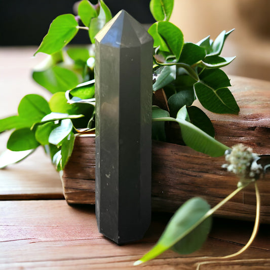 GENERATORS || SHUNGITE