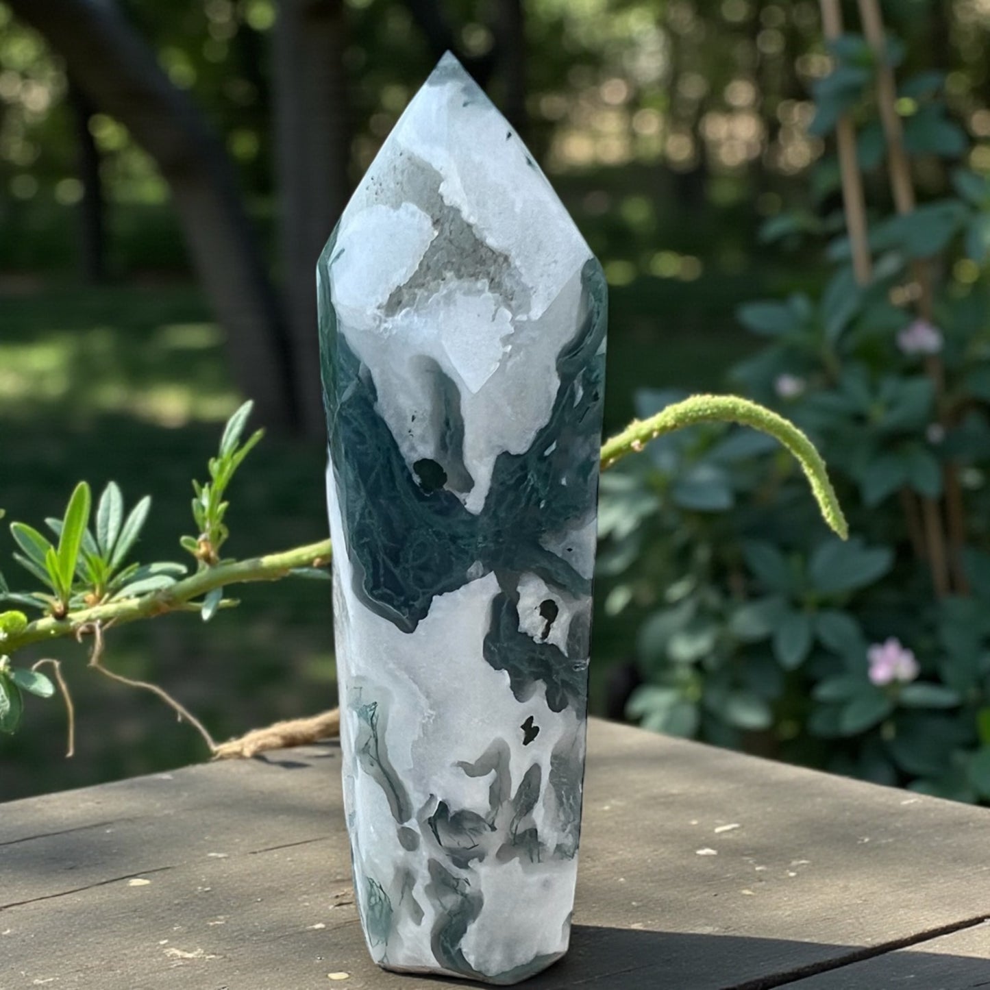 GENERATOR || MOSS AGATE