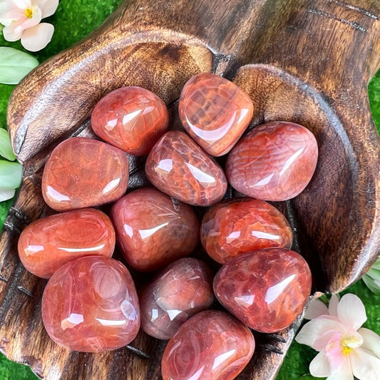 TUMBLE STONES || CRACKLED FIRE AGATE