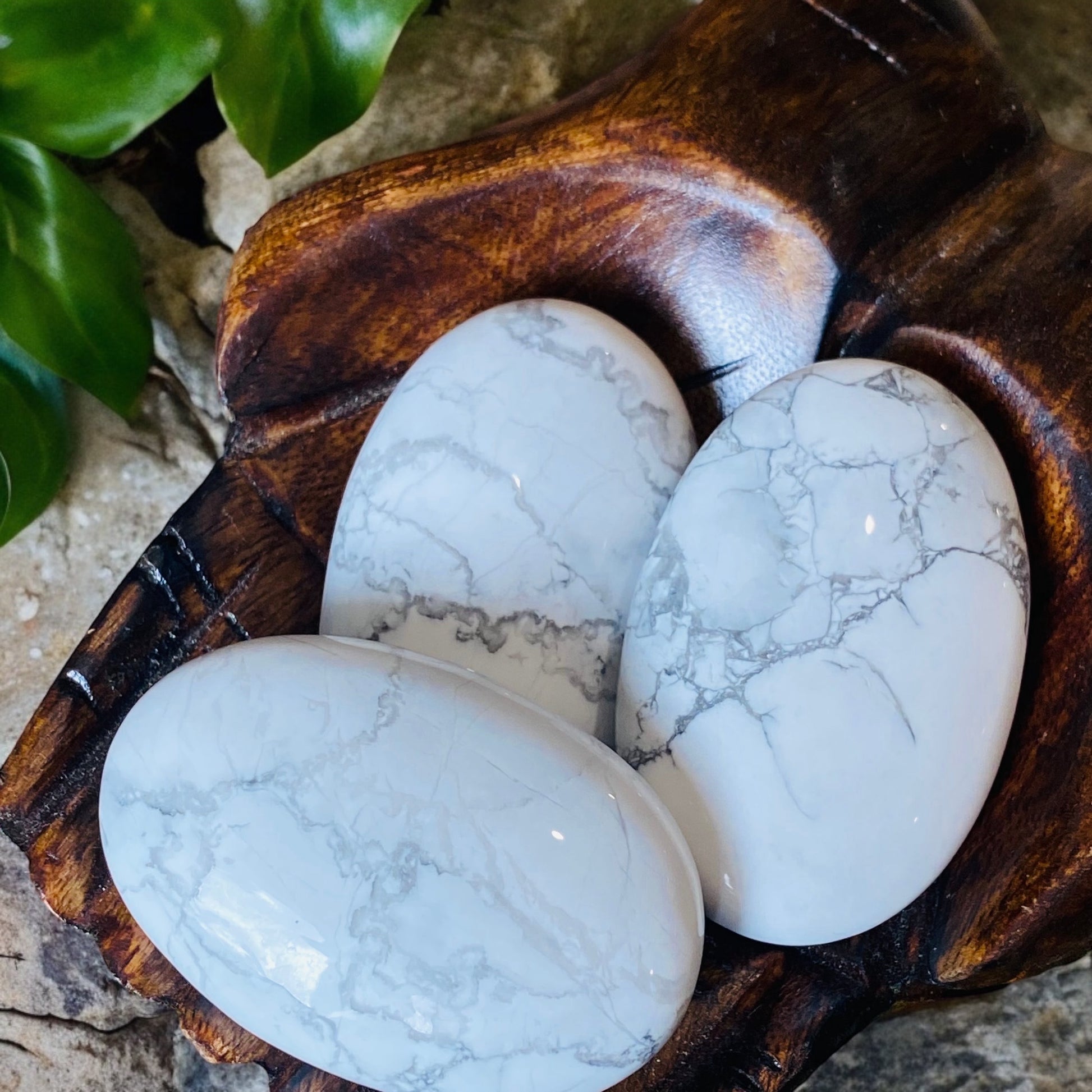 PALM STONE || HOWLITE