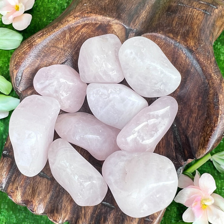 TUMBLE STONES || ROSE QUARTZ