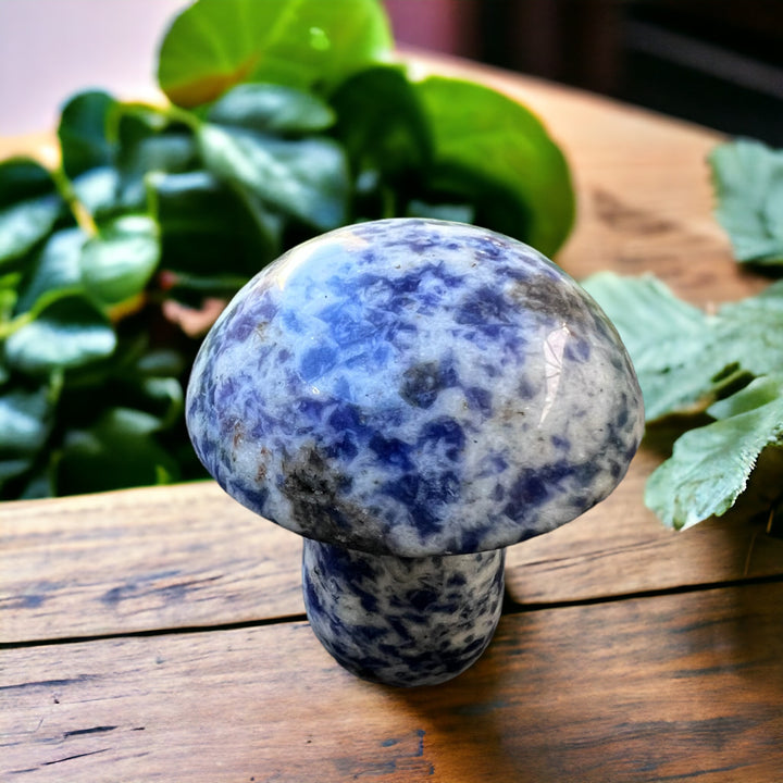 CARVINGS || SODALITE MUSHROOM