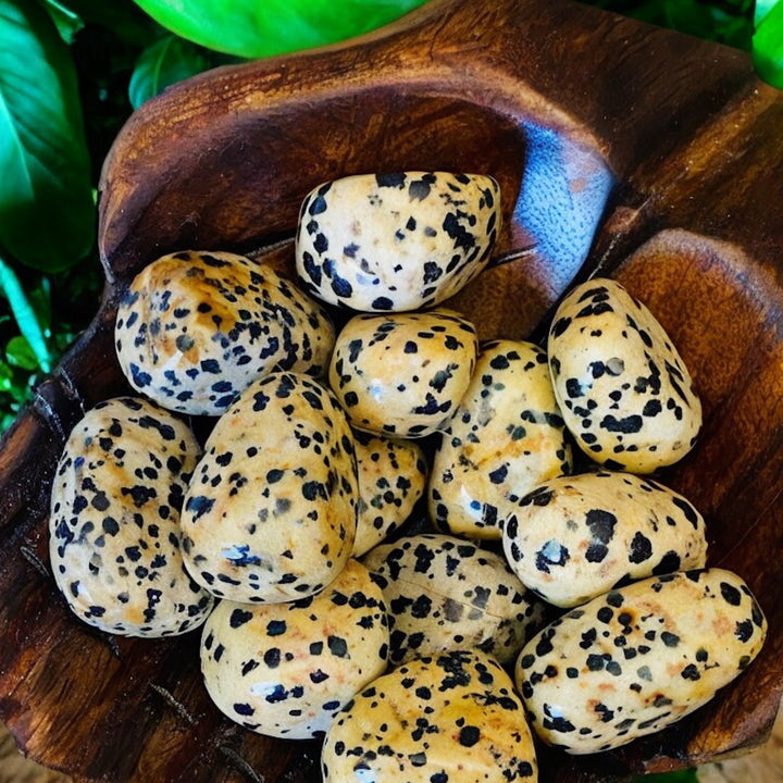 TUMBLE STONES || DALMATION JASPER