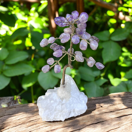 MONEY TREE || AMETHYST & QUARTZ CLUSTER