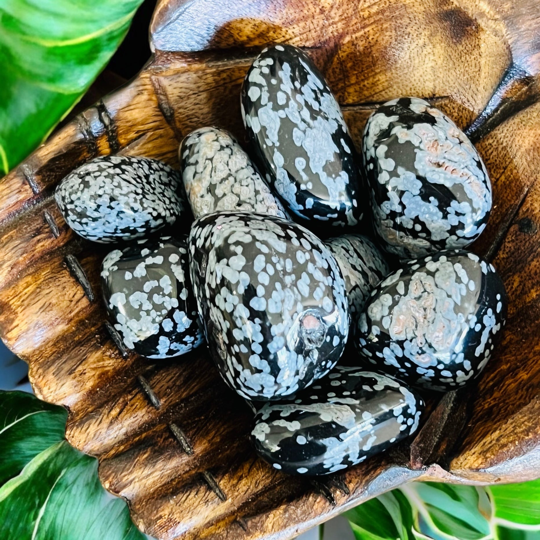 TUMBLE STONES || SNOWFLAKE OBSIDIAN