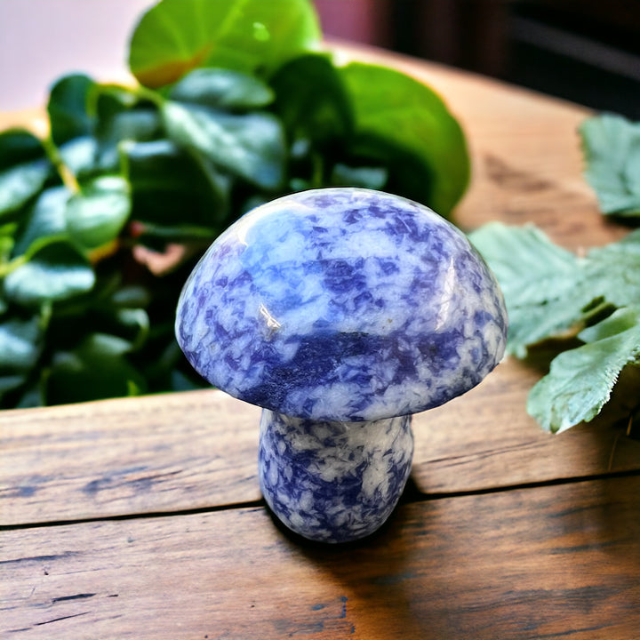 CARVINGS || SODALITE MUSHROOM