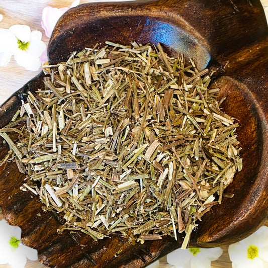 HERBS || VERVAIN