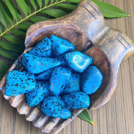 TUMBLE STONES || BLUE DALMATION JASPER