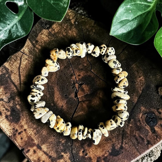 CHIP BRACELET || DALMATION JASPER