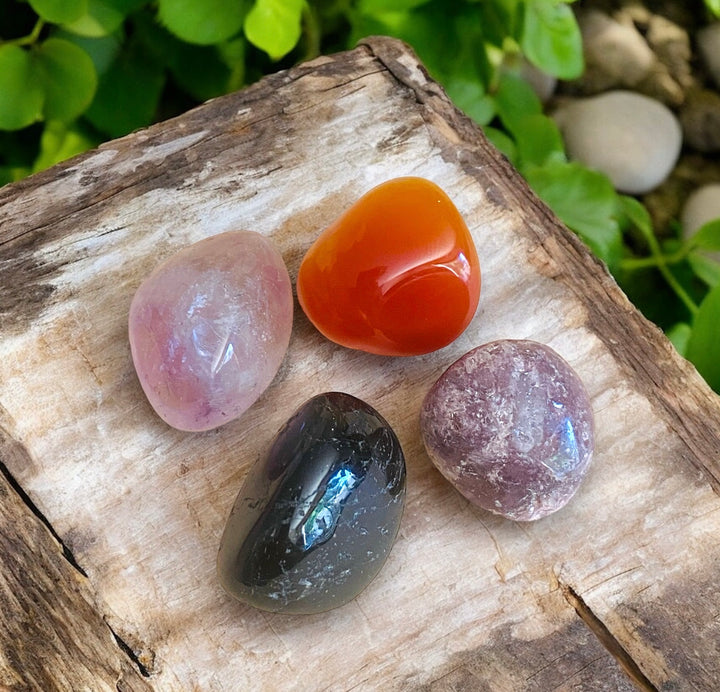 CRYSTAL KIT || ZODIAC - PISCES