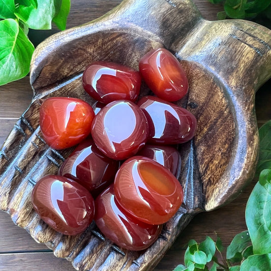 TUMBLE STONES || CARNELIAN