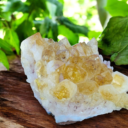 CLUSTERS || CITRINE