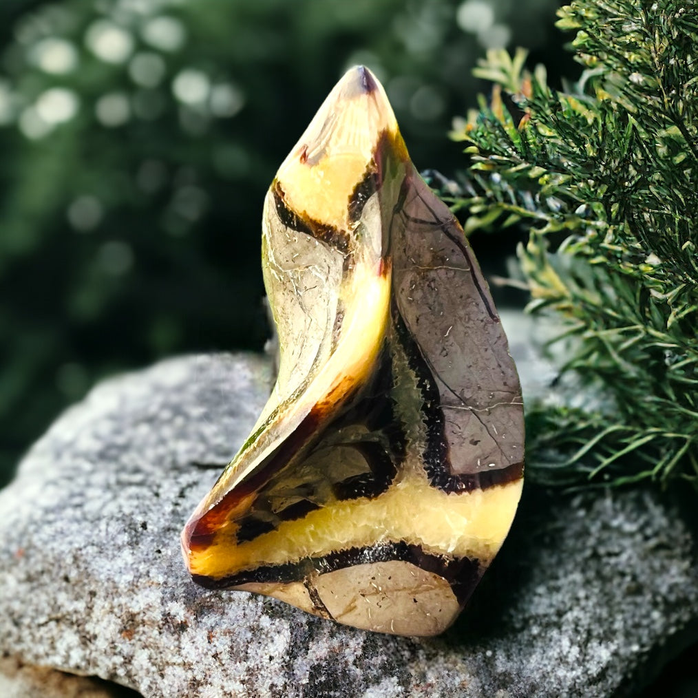 GENERATORS || SEPTARIAN FLAME