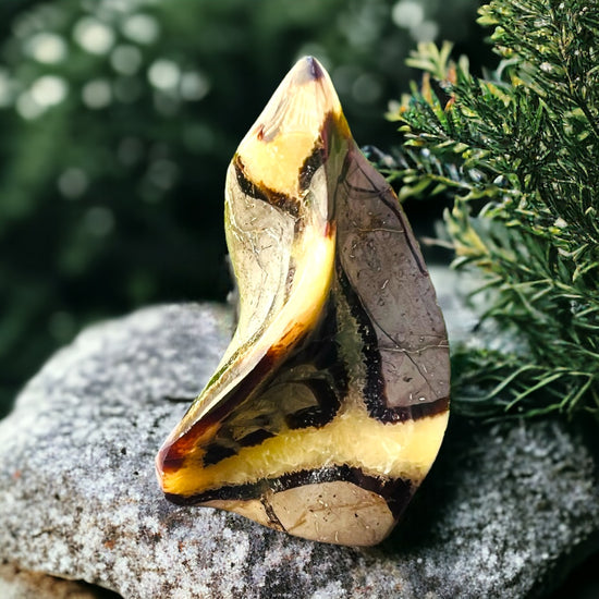 GENERATORS || SEPTARIAN FLAME