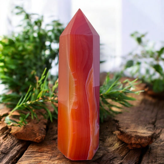 GENERATOR || CARNELIAN